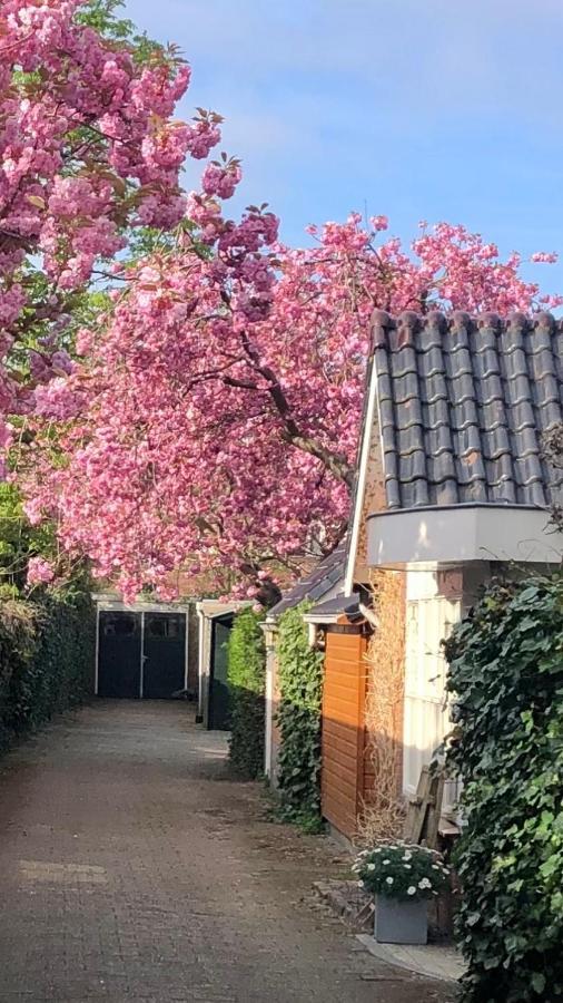 Prins Heerlijk Sassenheim Bagian luar foto