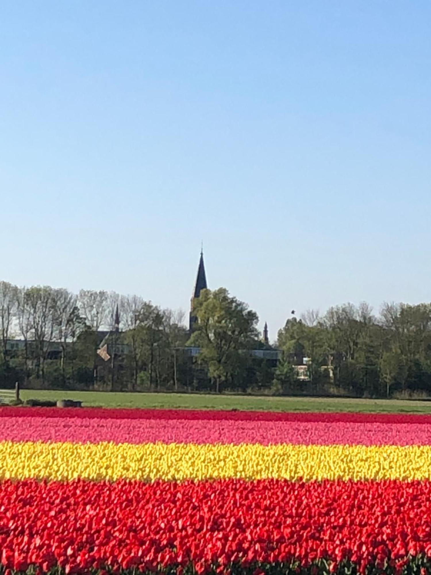 Prins Heerlijk Sassenheim Bagian luar foto
